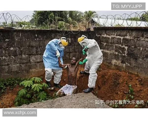 索马里体育明星排行榜揭晓他们的成就与影响力分析 索马里体育明星排行榜揭晓他们的成就与影响力分析
